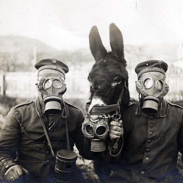 AFTERMATH: the Cultural Legacies of WW1