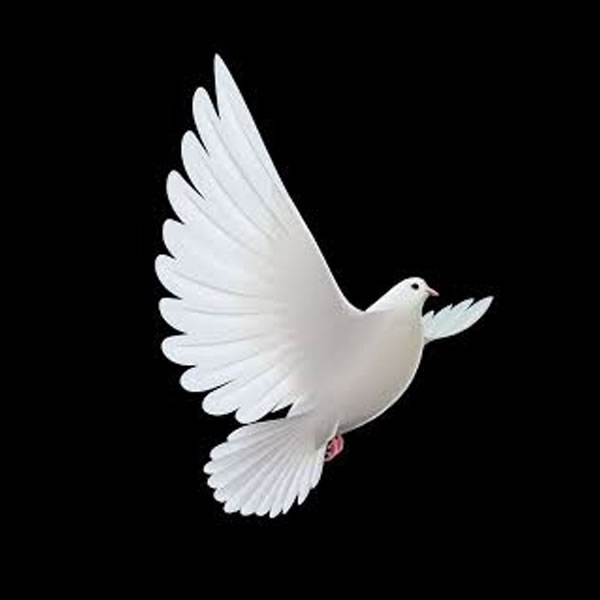 Manchester Peace Festival