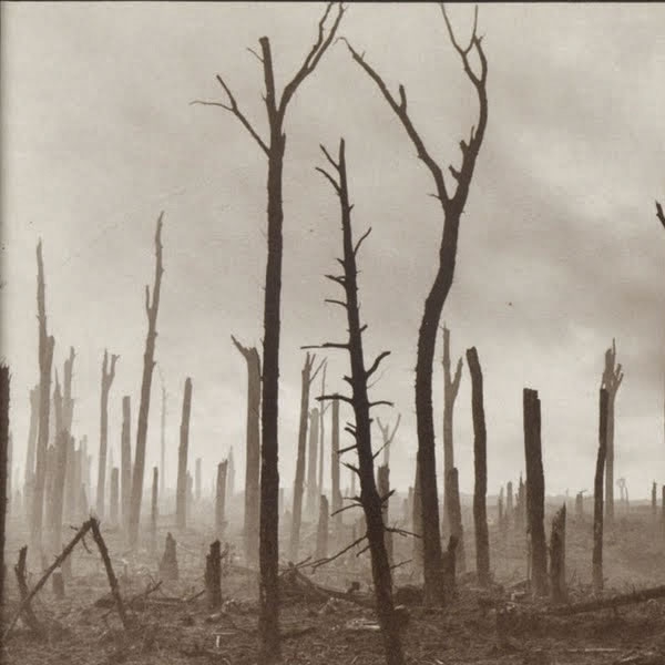 Holding Hands at Paschendale